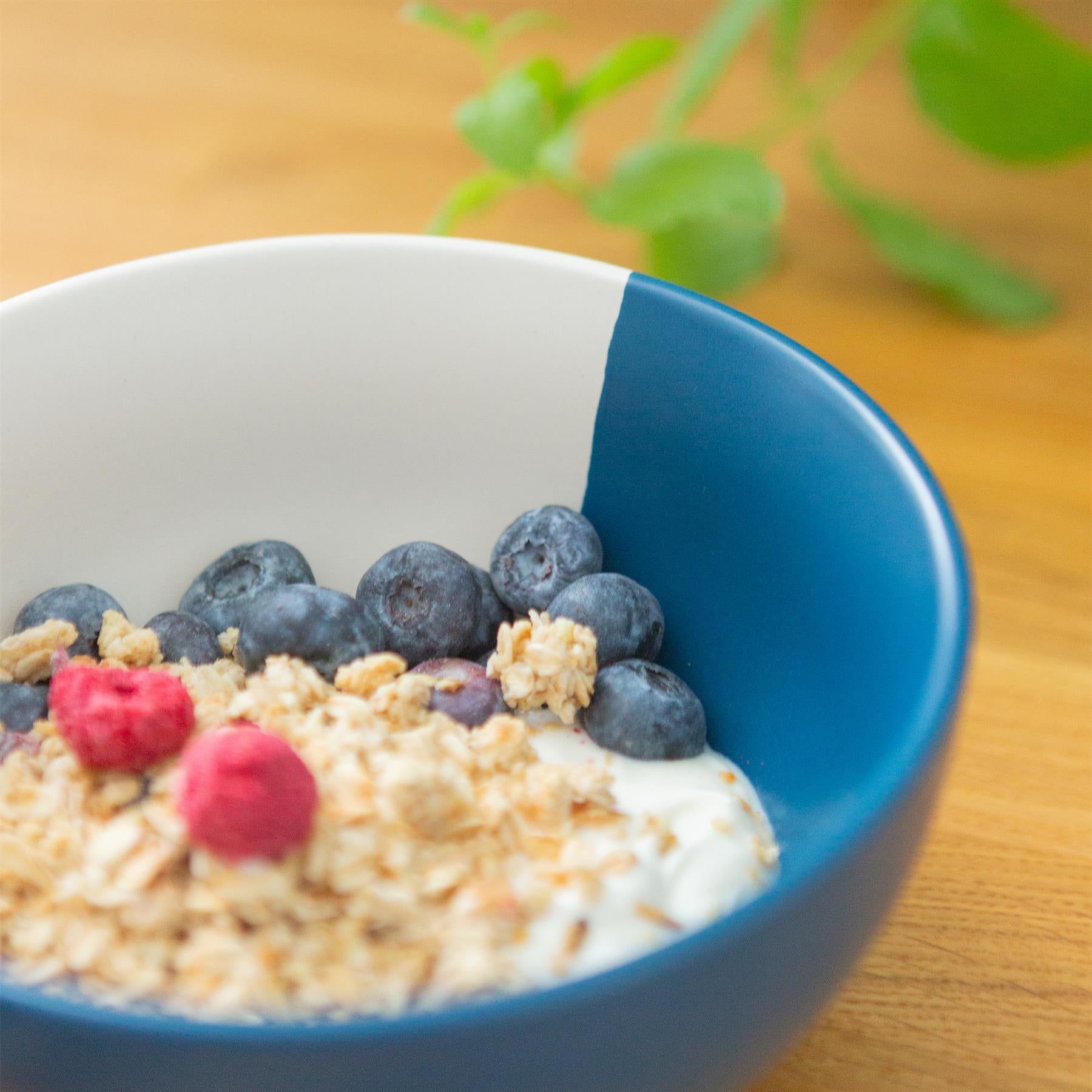 16.5cm Colour Block Stoneware Cereal Bowls - Pack of 4